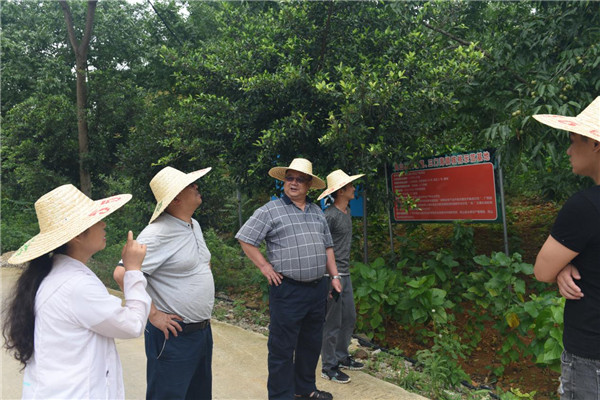 中国·js345线路检测(股份有限公司)-OfficialPlatform