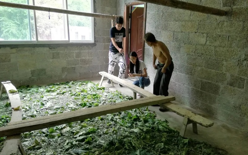 中国·js345线路检测(股份有限公司)-OfficialPlatform