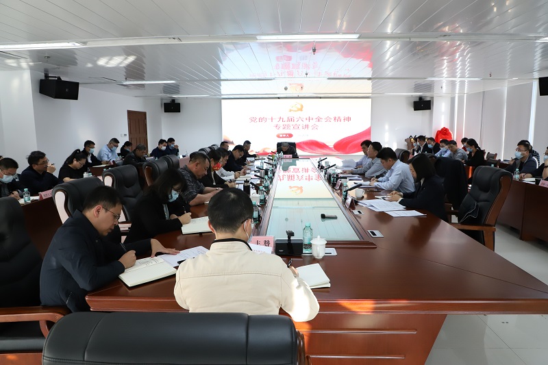 周善雄到广西工程征询集团发展党的十九届六中全会专题宣讲
