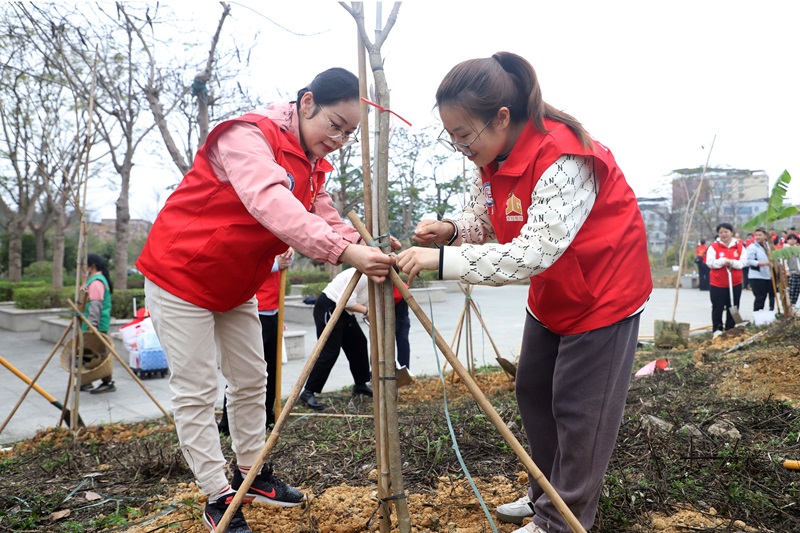 js345线路检测集团发展植树节活动