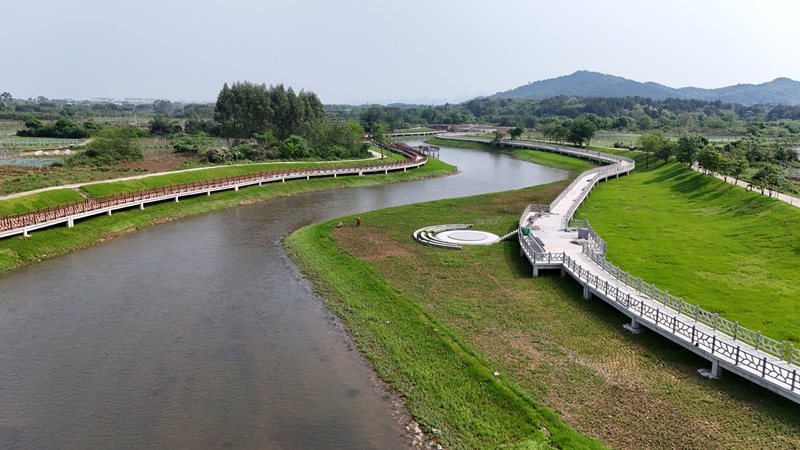 实干当“夏”丨广西工程征询集团扎实发展漓江生态建复全咨项目评估验收